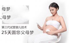 第三代试管婴儿治疗全周期