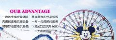 受精卵是怎么形成的
